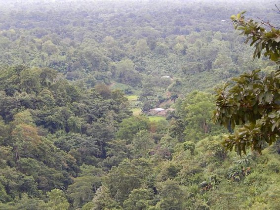 Villagers oppose Mega Fertilizer Plant in North Tripura Villagers oppose Mega Fertilizer Plant in North Tripura